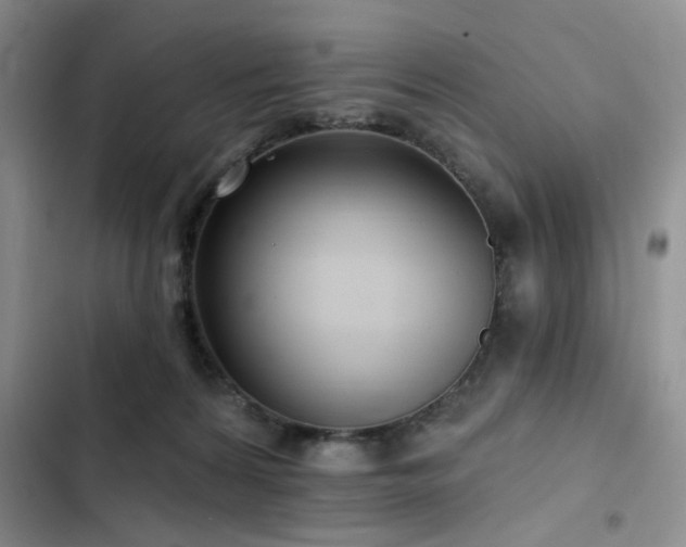 X0000102790224200808181308