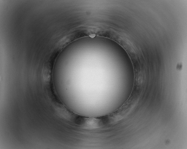 X0000102790226200808181308