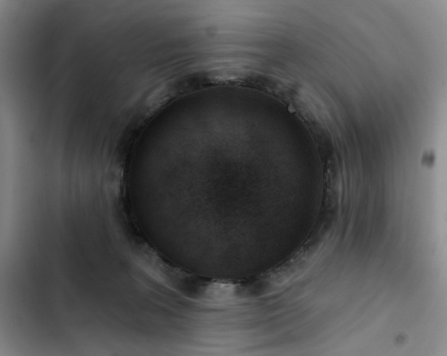 X0000102790227200808181308