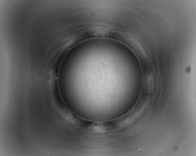X0000102790228200808181308