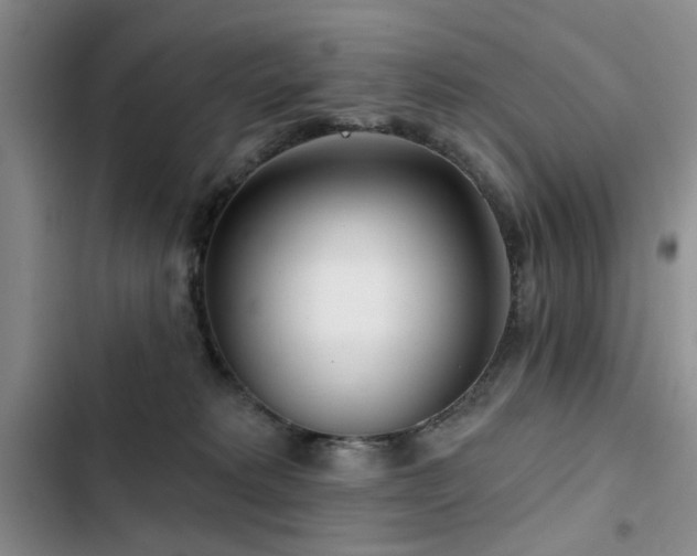 X0000102790229200808181308