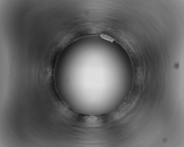 X0000102790230200808181308