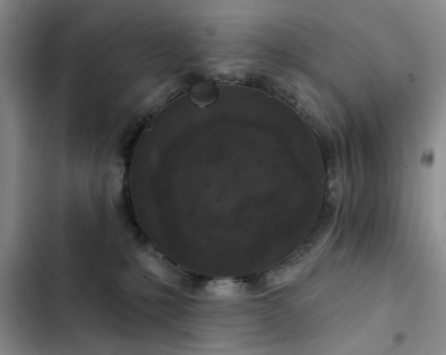 X0000102790231200808181308