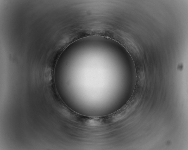 X0000102790232200808181308