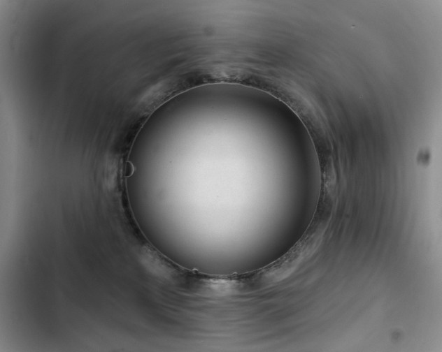 X0000102790233200808181308