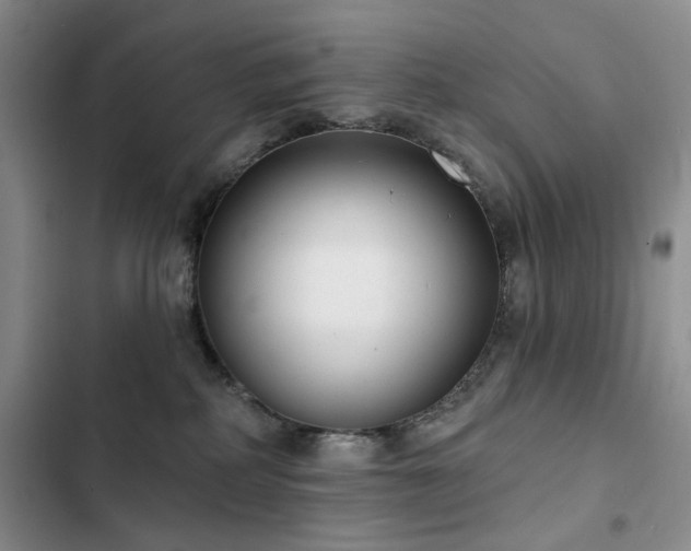 X0000102790234200808181308