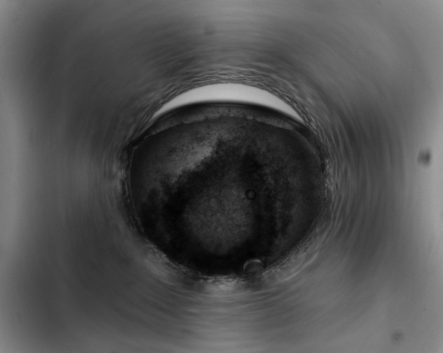 X0000102790235200808181308