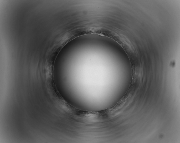 X0000102790236200808181308