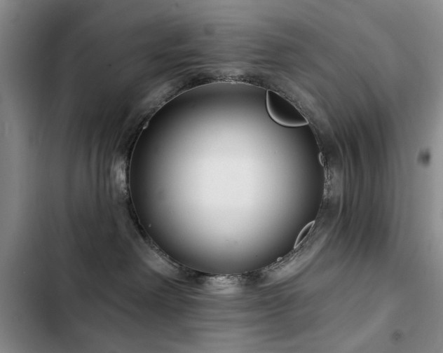 X0000102790238200808181308