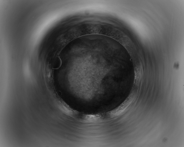X0000102790239200808181308