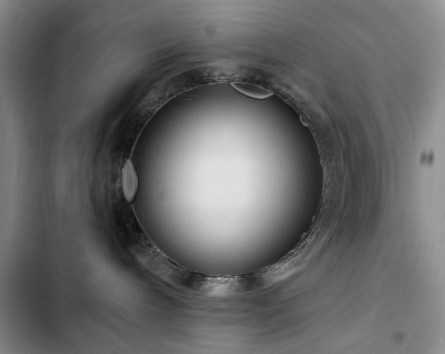X0000102790240200808181308