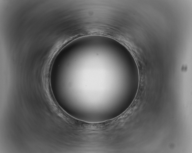 X0000102790241200808181307