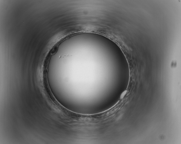 X0000102790242200808181307