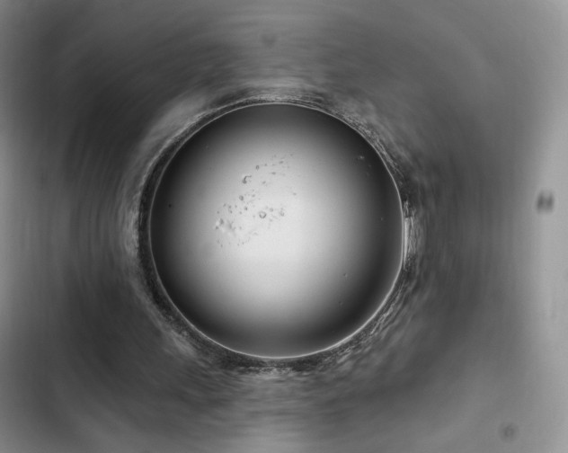 X0000102790243200808181307