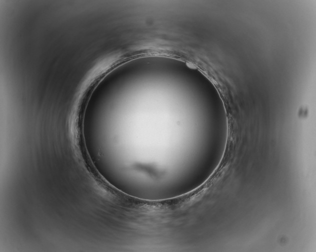 X0000102790245200808181307