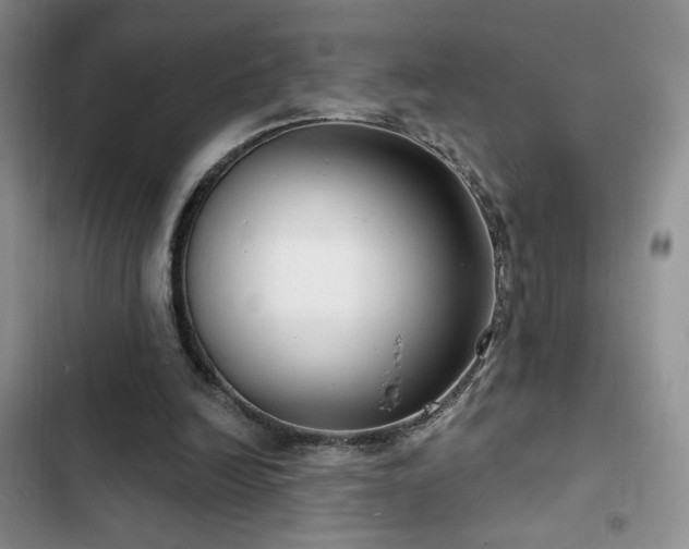 X0000102790246200808181307