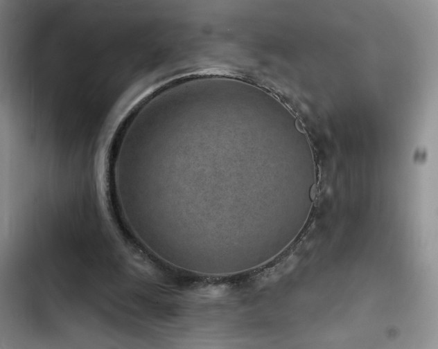 X0000102790247200808181307
