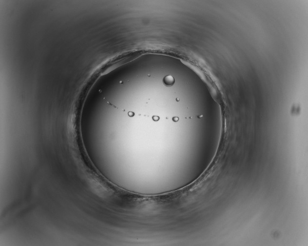 X0000102790249200808181307