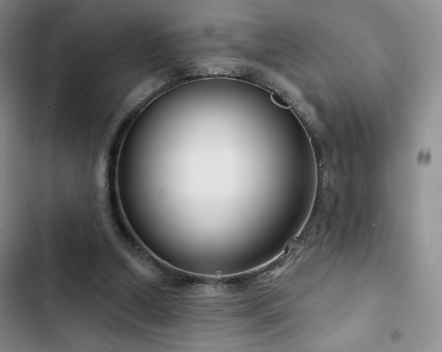 X0000102790250200808181307