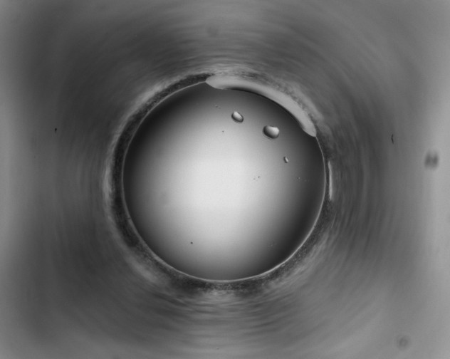X0000102790252200808181307