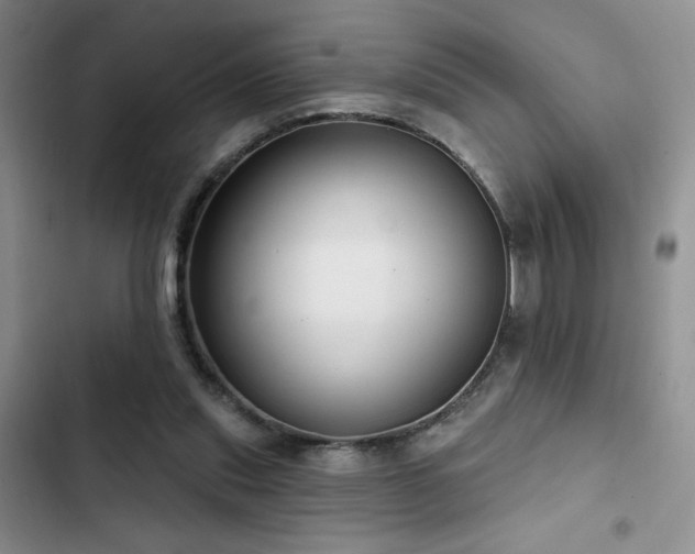 X0000102790253200808181307