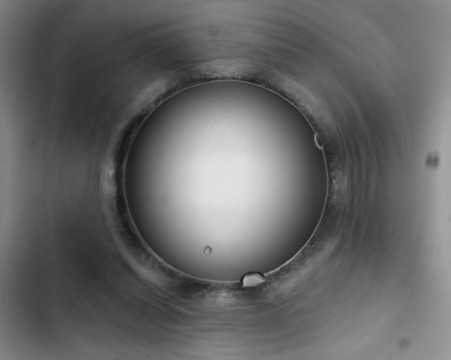 X0000102790254200808181307