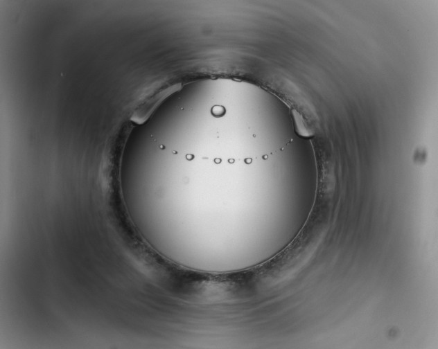 X0000102790255200808181307