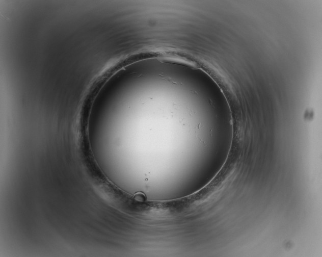 X0000102790256200808181307