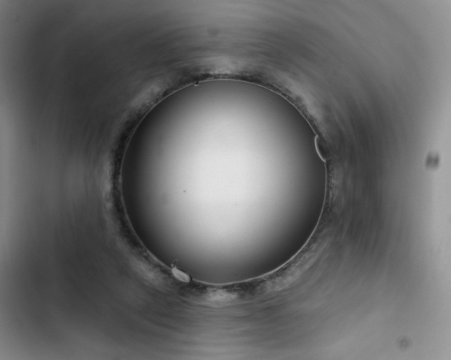 X0000102790257200808181307