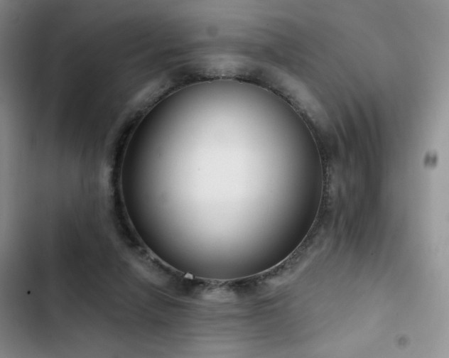 X0000102790258200808181307
