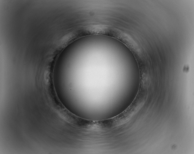 X0000102790259200808181307