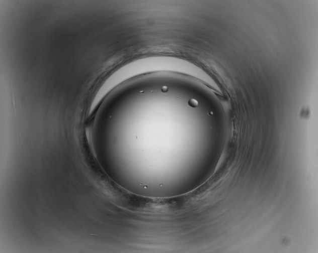 X0000102790260200808181307