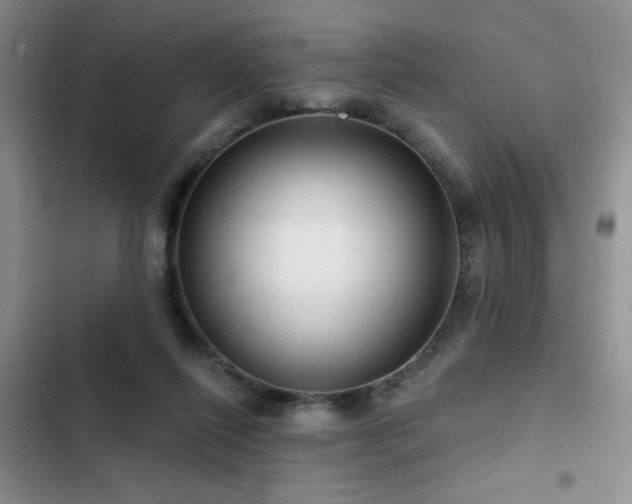 X0000102790262200808181307