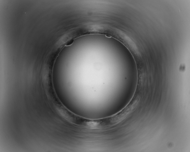 X0000102790265200808181307