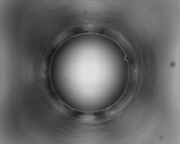 X0000102790266200808181307