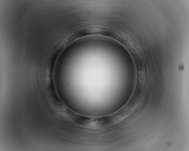 X0000102790267200808181307