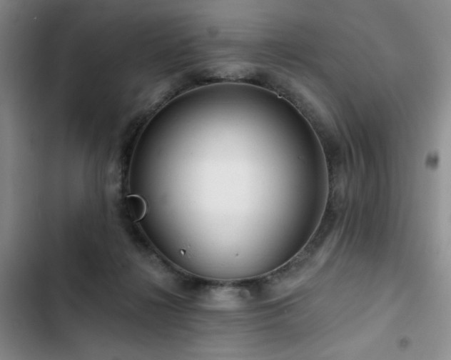X0000102790268200808181307