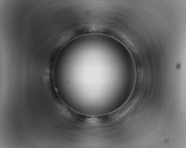 X0000102790269200808181307