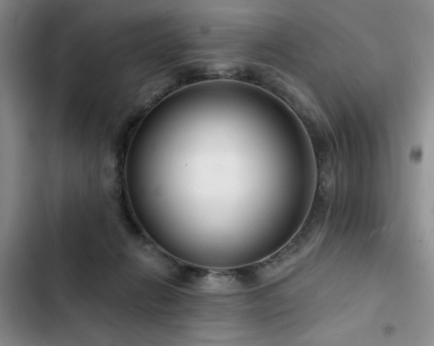 X0000102790270200808181307