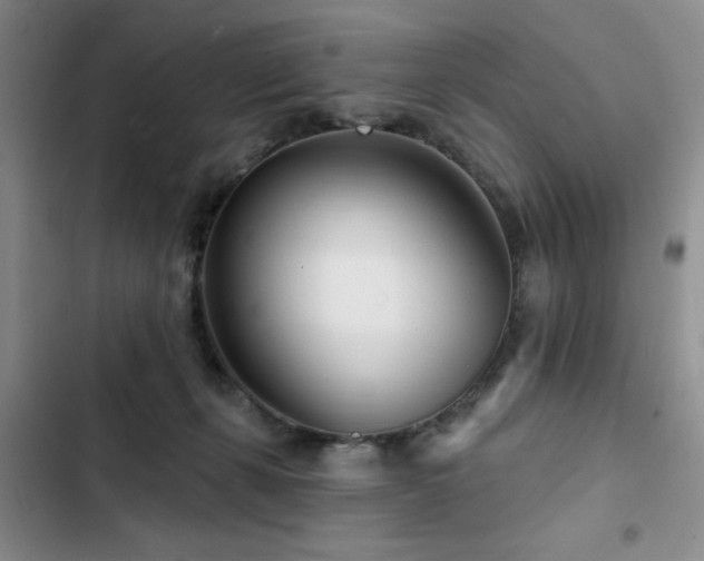 X0000102790271200808181307