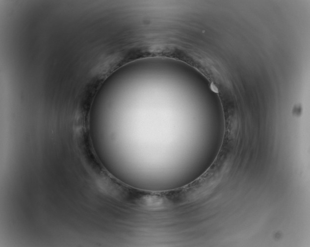X0000102790272200808181307
