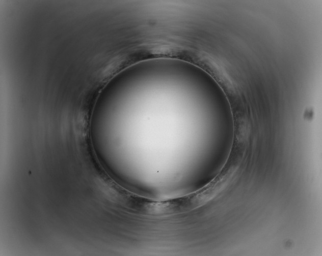 X0000102790273200808181307