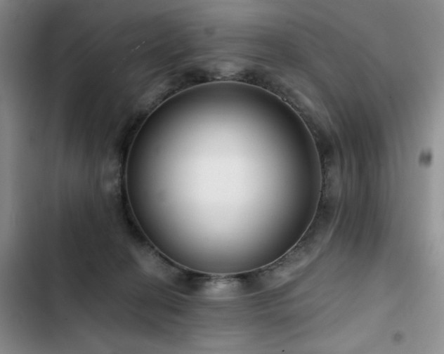X0000102790274200808181307