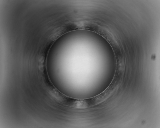 X0000102790275200808181307