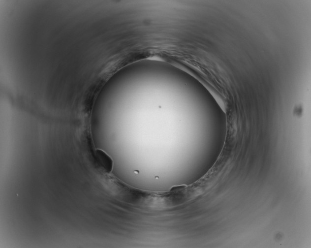 X0000102790276200808181307