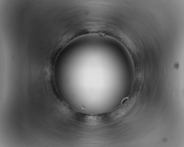 X0000102790277200808181307