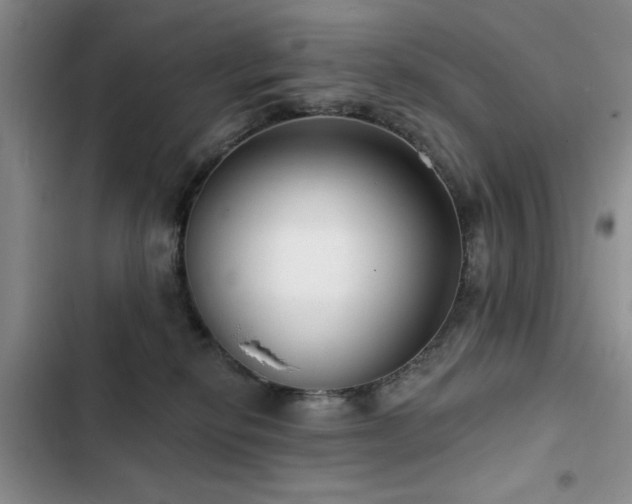 X0000102790278200808181307