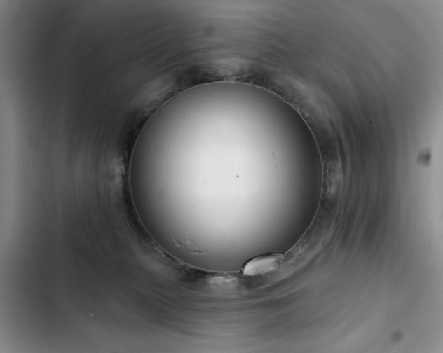 X0000102790279200808181307