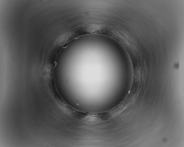 X0000102790280200808181307