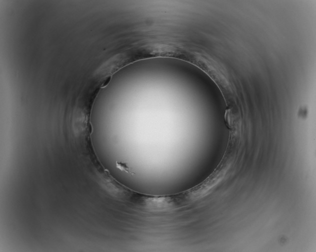 X0000102790281200808181307